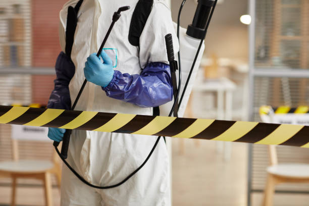 Professional Sewage Cleanup technician working in Bentonville, AR